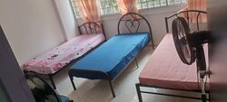 Blk 221 Tampines Street 24 (Tampines), HDB 4 Rooms #551444321